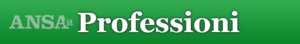 ansa profess testata